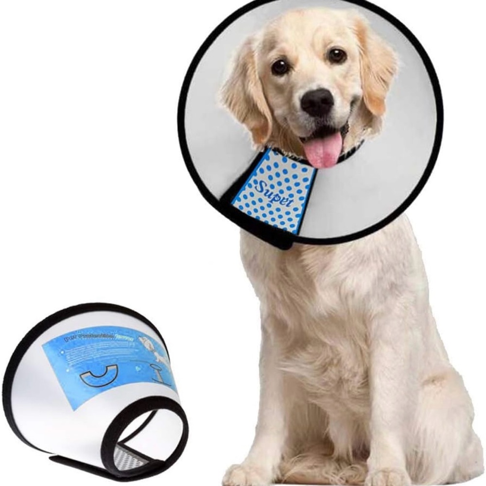 XL dog recovery cone